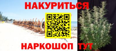стаф Камышлов