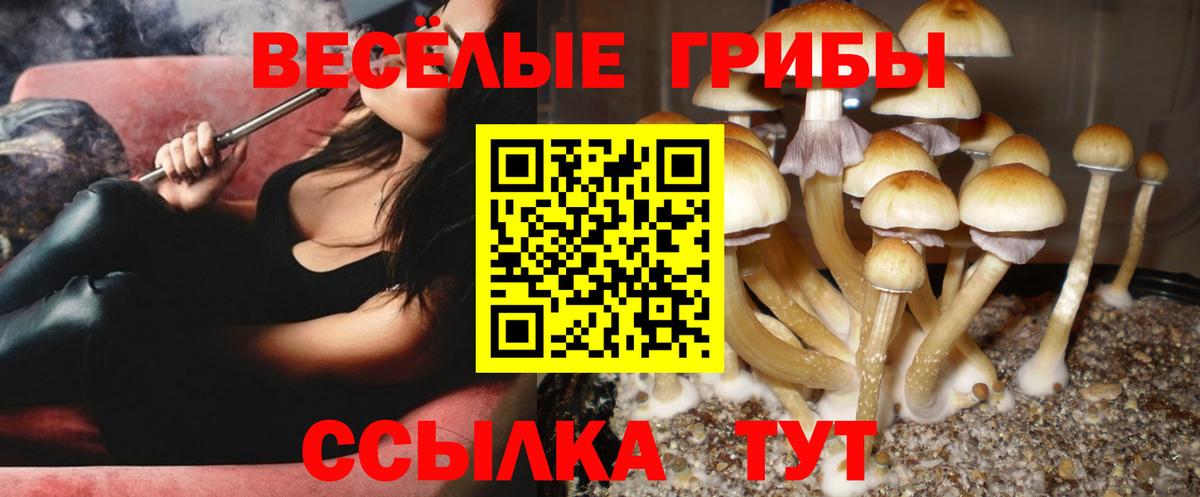 Тула  Галлюциногенные грибы Psilocybine cubensis  Вход с VPN 